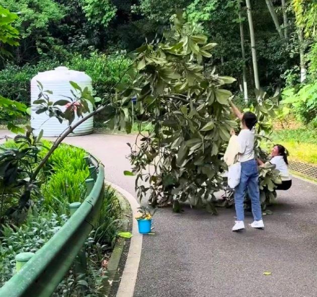 5月4日，重庆照母山森林公园里，两个女子的操作，把“自私”两个字演得淋漓尽致——