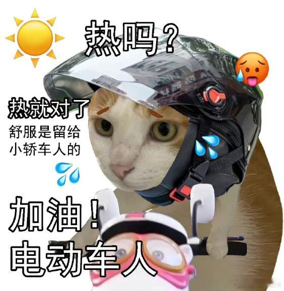 电鸡一年十次以上处罚或影响征信？不点进来看压根不知道说的是啥，原来“电鸡”指的是