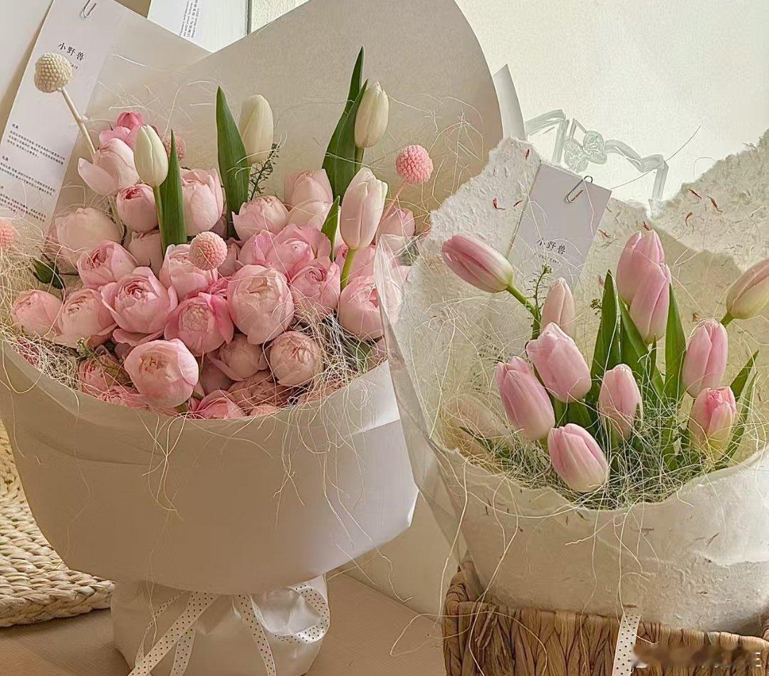 报告，这几朵花诱惑我！怎么办？要不要下手买 