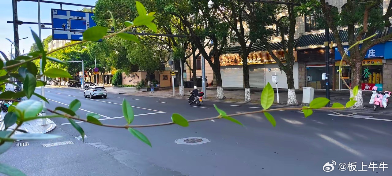 股民就是藤蔓藤蔓靠树干生长，散户靠主力拉升获利。藤蔓要和树干交朋友，股民要与主力