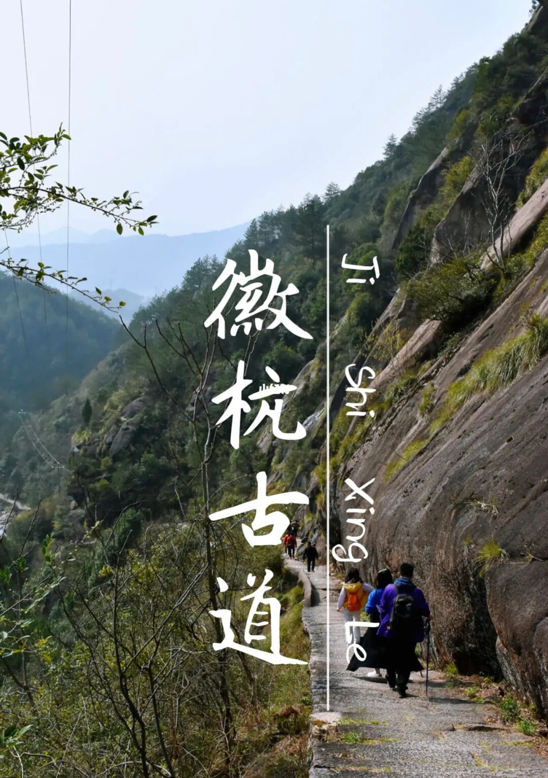 不如一起去徒山！