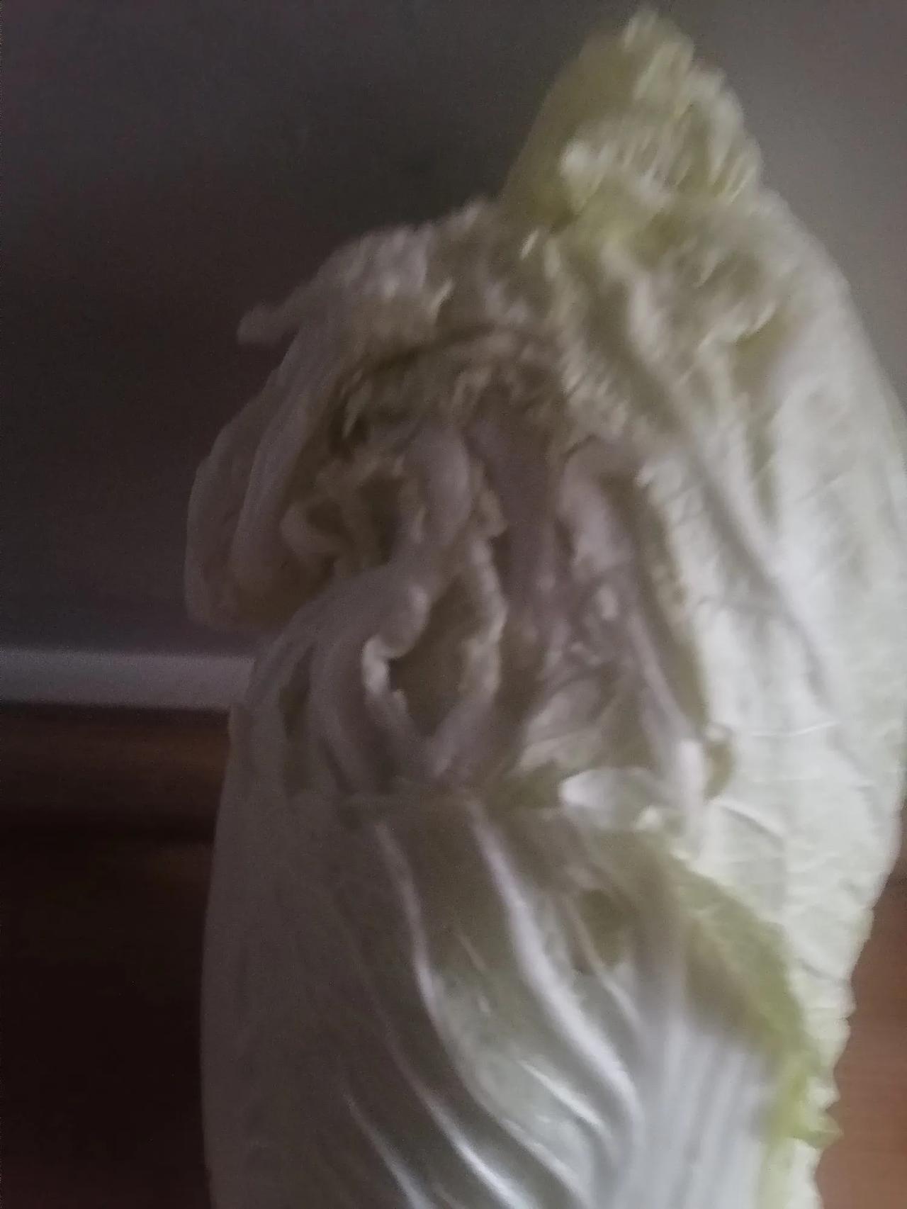 如梦令
白菜
秋日白菜肥胖。白菜丰收在望。
和肉做火锅，切片入锅炒菜。
鲜菜，味