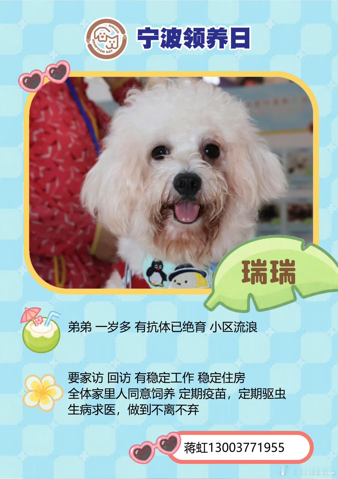 第116届宁波领养日来了 第116届宁波领养日登陆宁波海曙印象城🐱🐶9月13