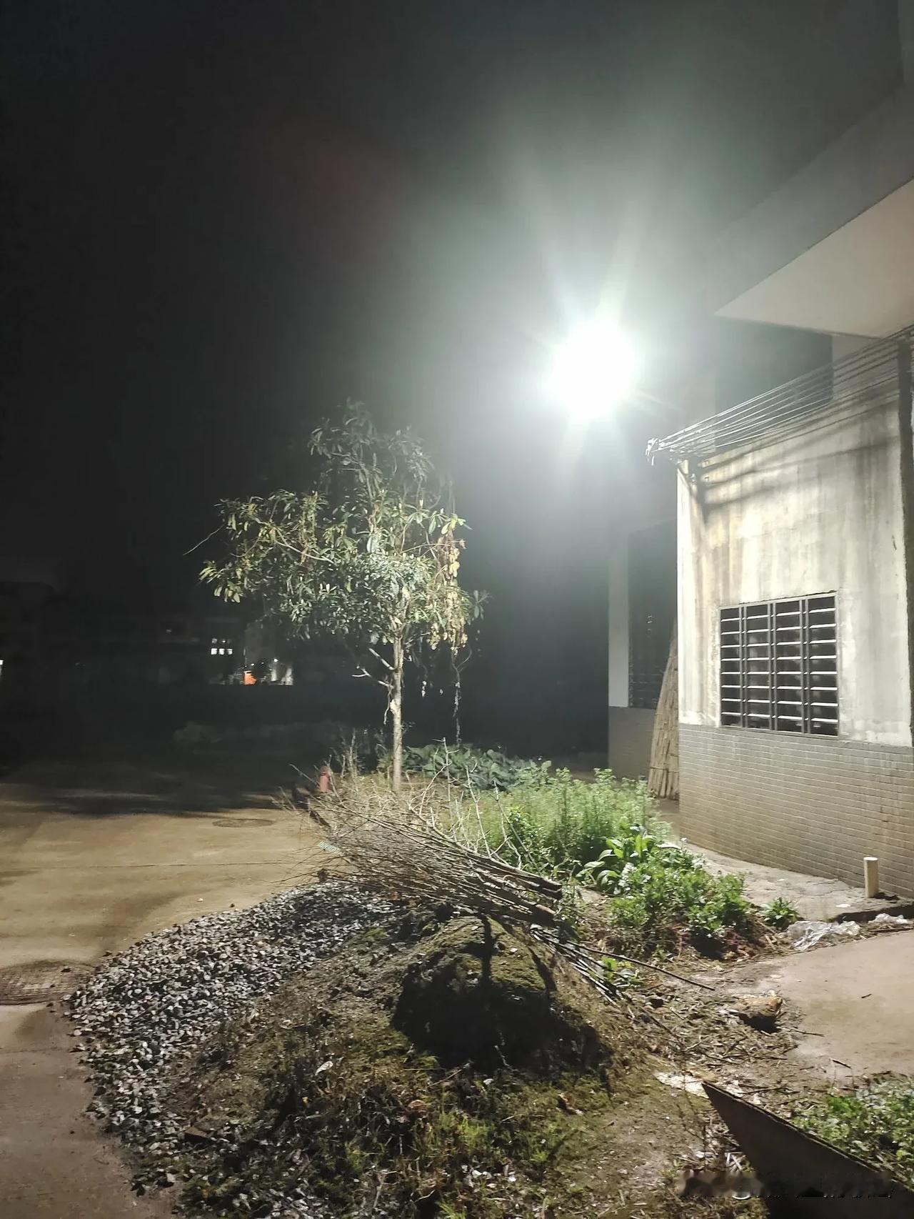 “明月松间照，清泉石上流”是我逝世后理想的归宿。

密林深处，一堆黄土。有晚风呢