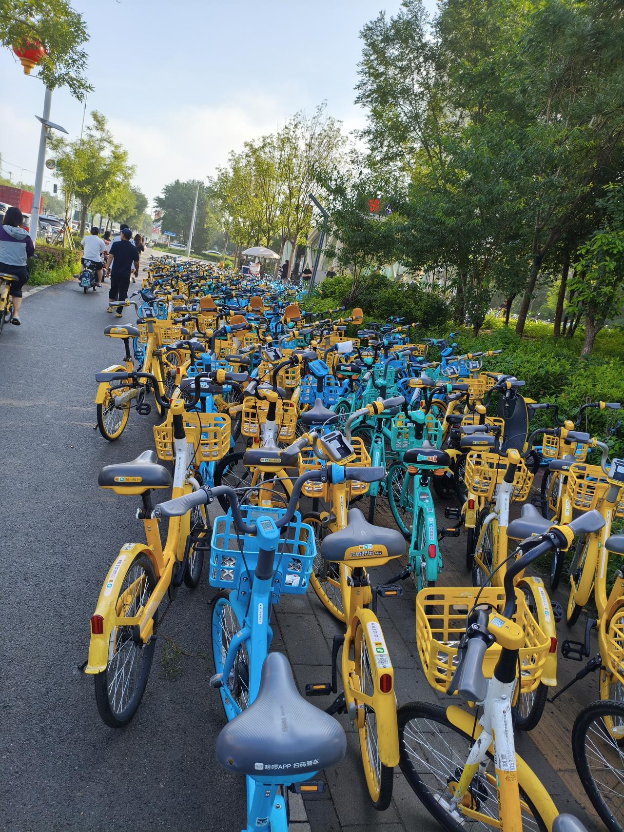 沈阳云杉路站彻底火了！苏家屯开启“共享单车+地铁”通勤新模式
 
台风巴威彻底消