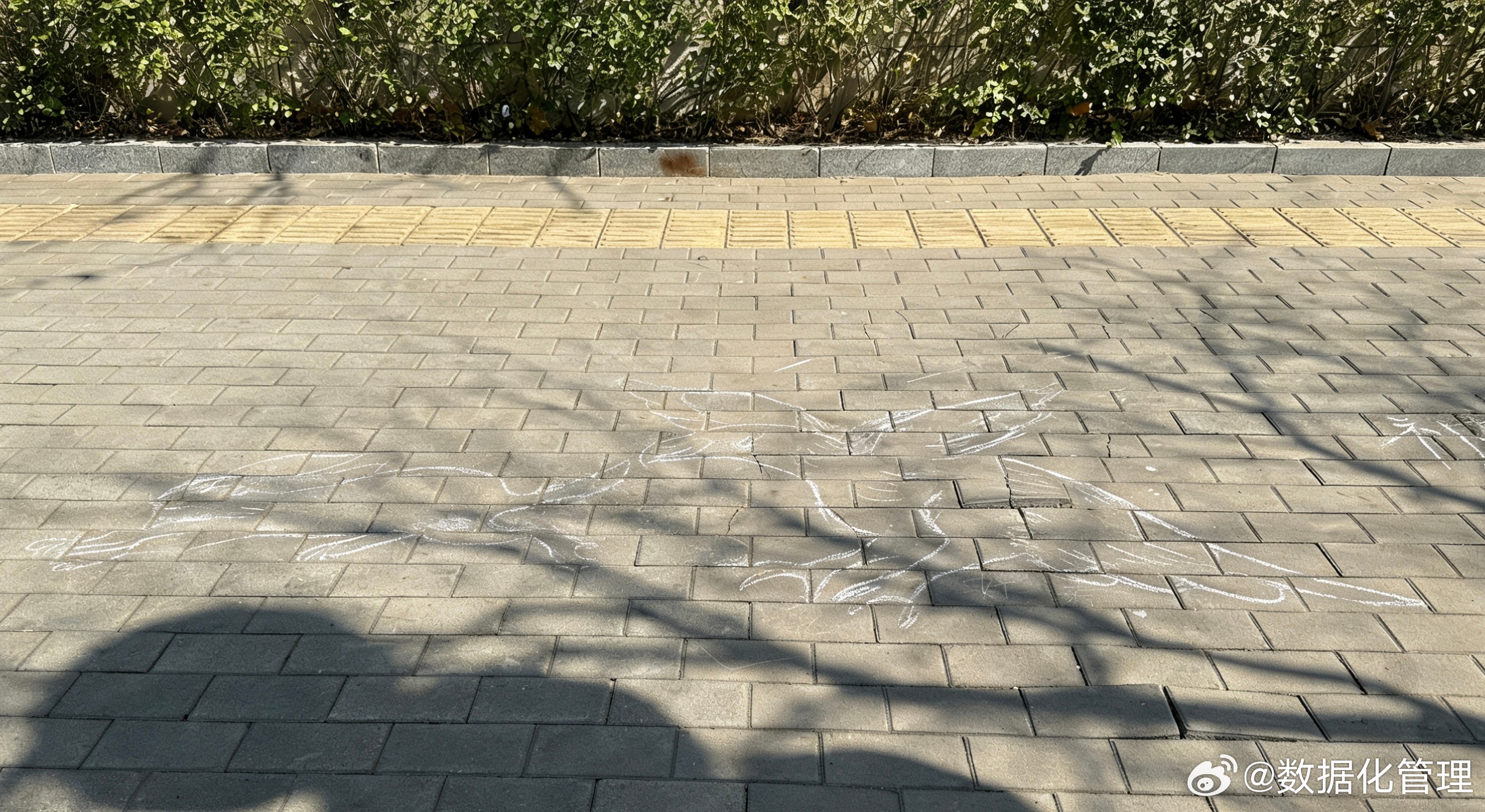 到处都是艺术家 