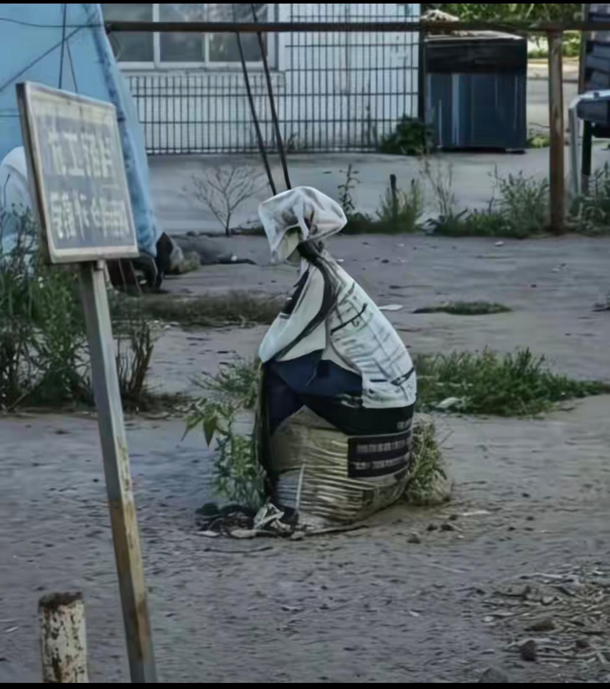 我第一眼看成一个姑娘坐在那里，你看错没有？