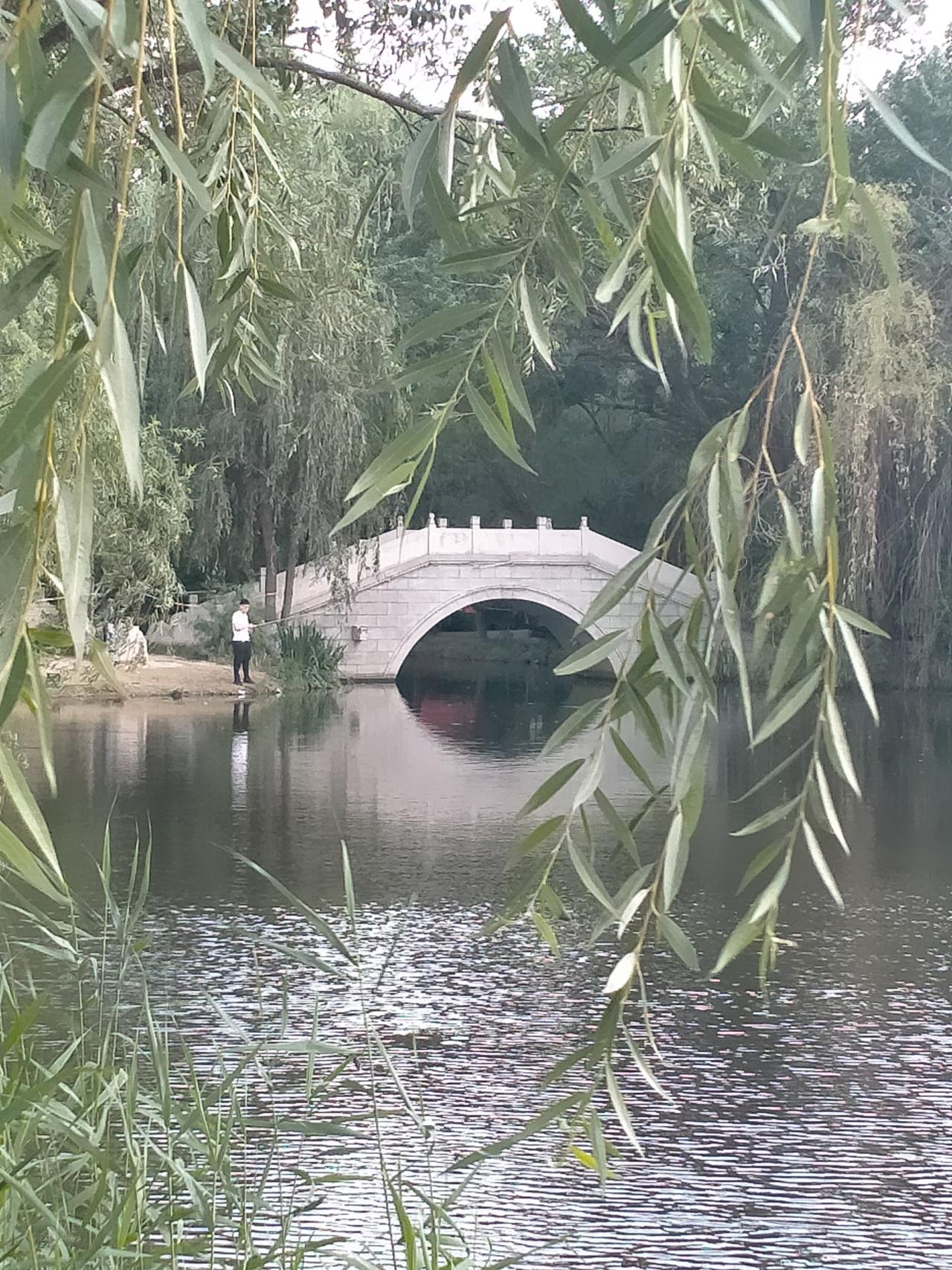 虞河美景随手拍。