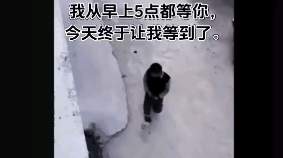 男子总是到邻居家的墙角小便，邻居提醒多次依旧不改，当他习惯性地来到墙角，邻居从楼