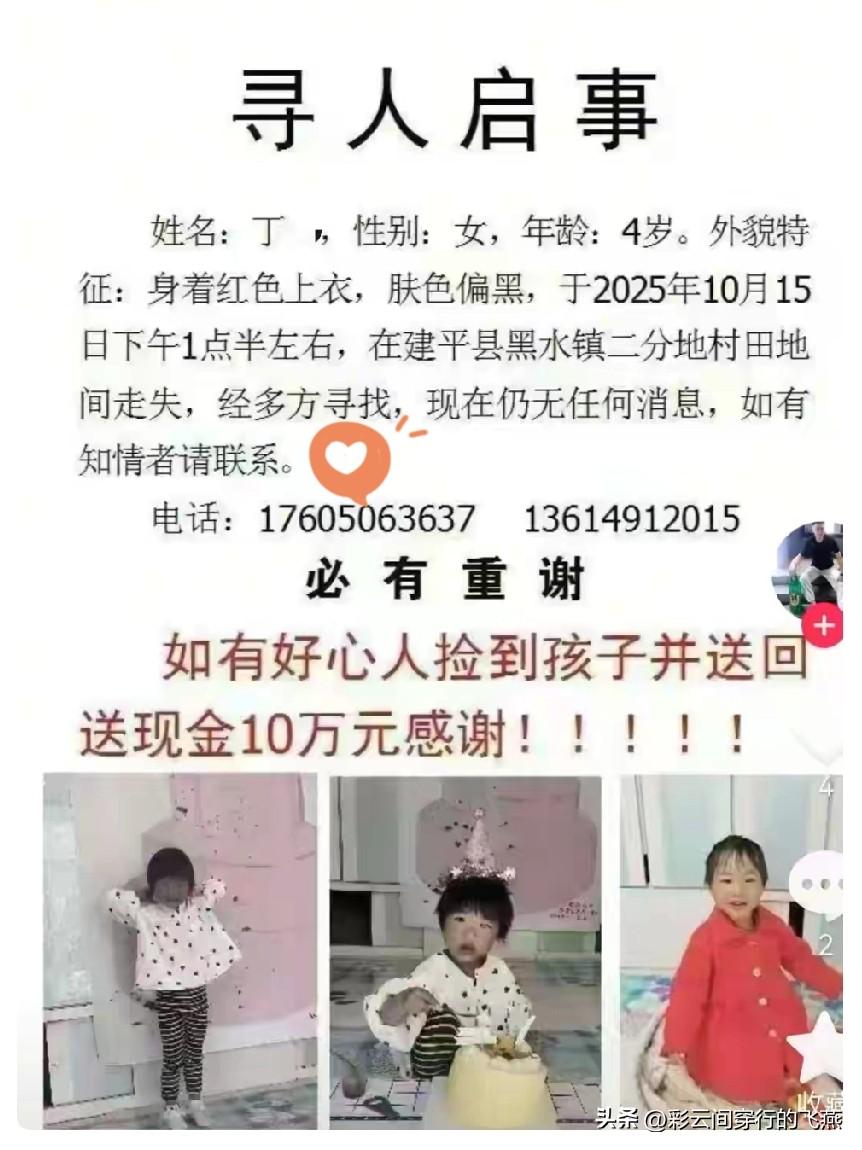 4岁女童走失：当我们痛骂人贩时，更该看见“守护孩子”的全民必修课
 
看到丁姓女