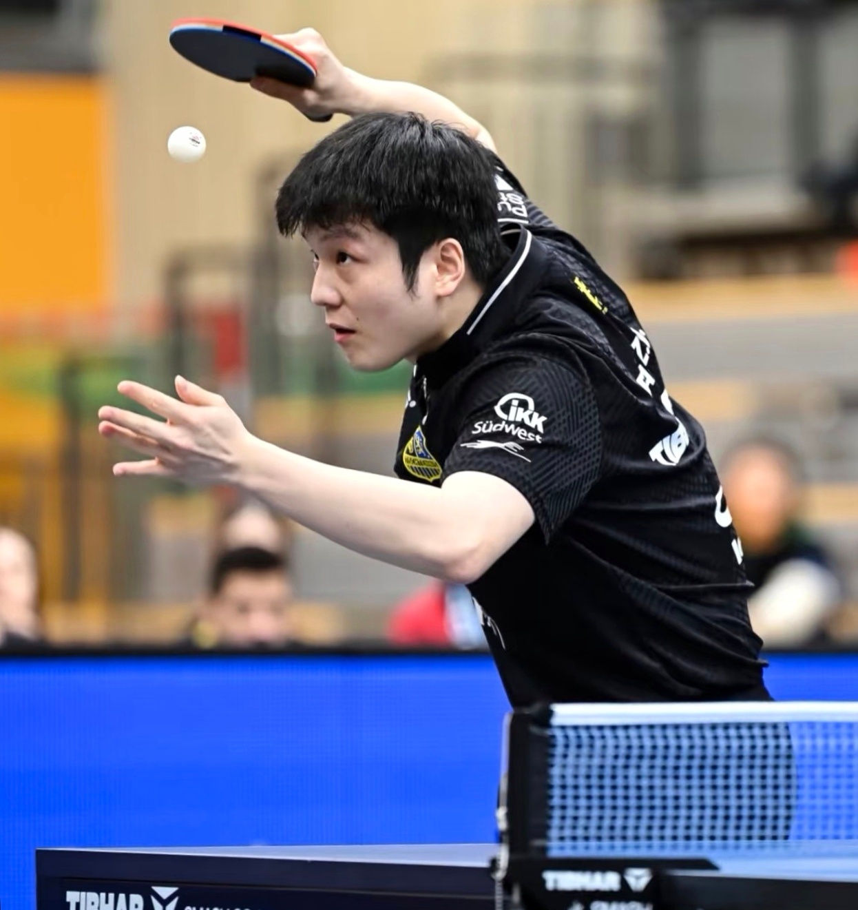 德国摄影师精准捕捉到了真正世界第一的专注：每一根神经都在战斗！了不起的樊振东得樊