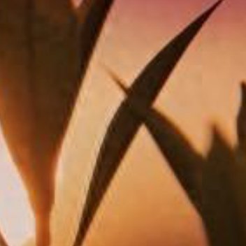 正能量向前走，往前看，哪怕前途一片迷惘，哪怕只是凭着惯性继续往前走——总有一天，