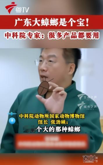 中科院专家爆出个让人头皮发麻的冷知识：大家常敷的面膜、吃的花生酱里，竟可能藏着蟑