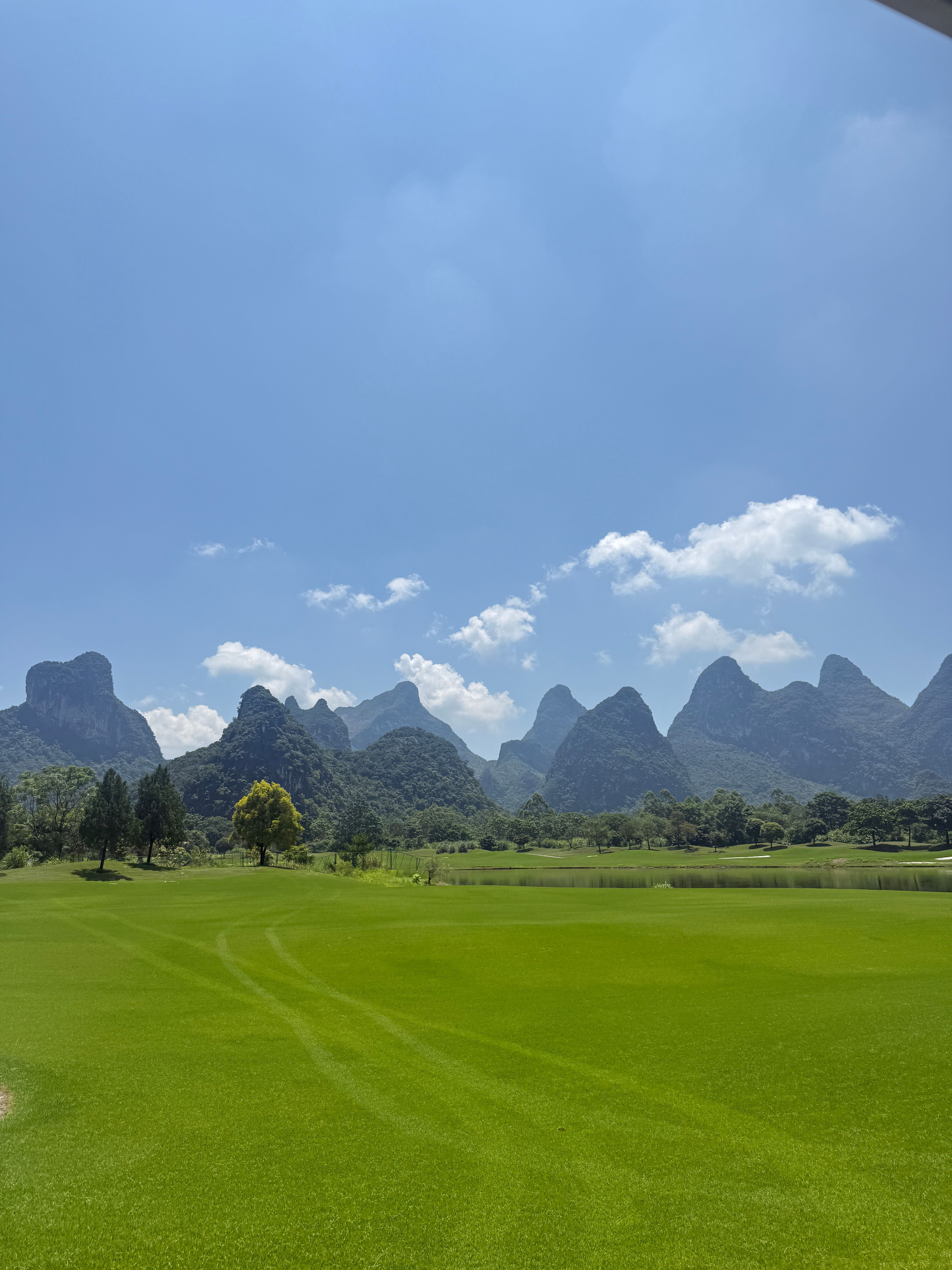 晒到的阳光分你一半☀️ 