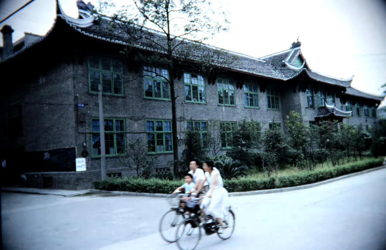 四川教育学院内，成都，1991年7月摄。 ​ ​​​