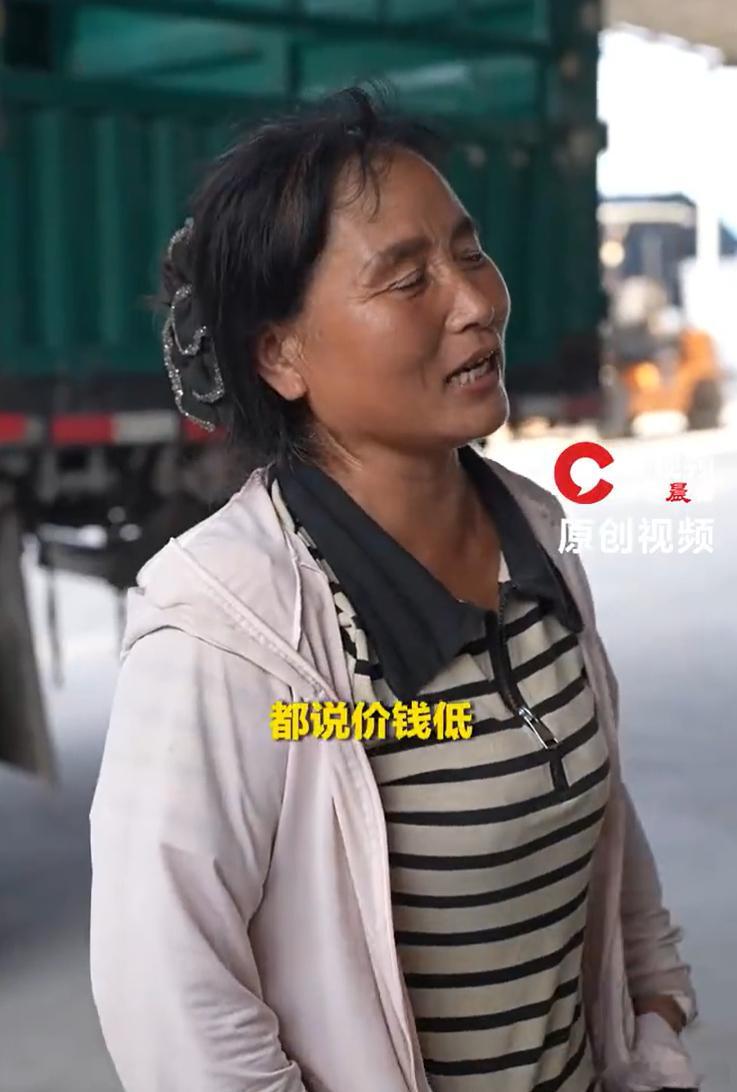 滞销西瓜被网红压价到一毛多一斤这西瓜本来就是滞销的要么全部烂在地里颗粒无收，要么