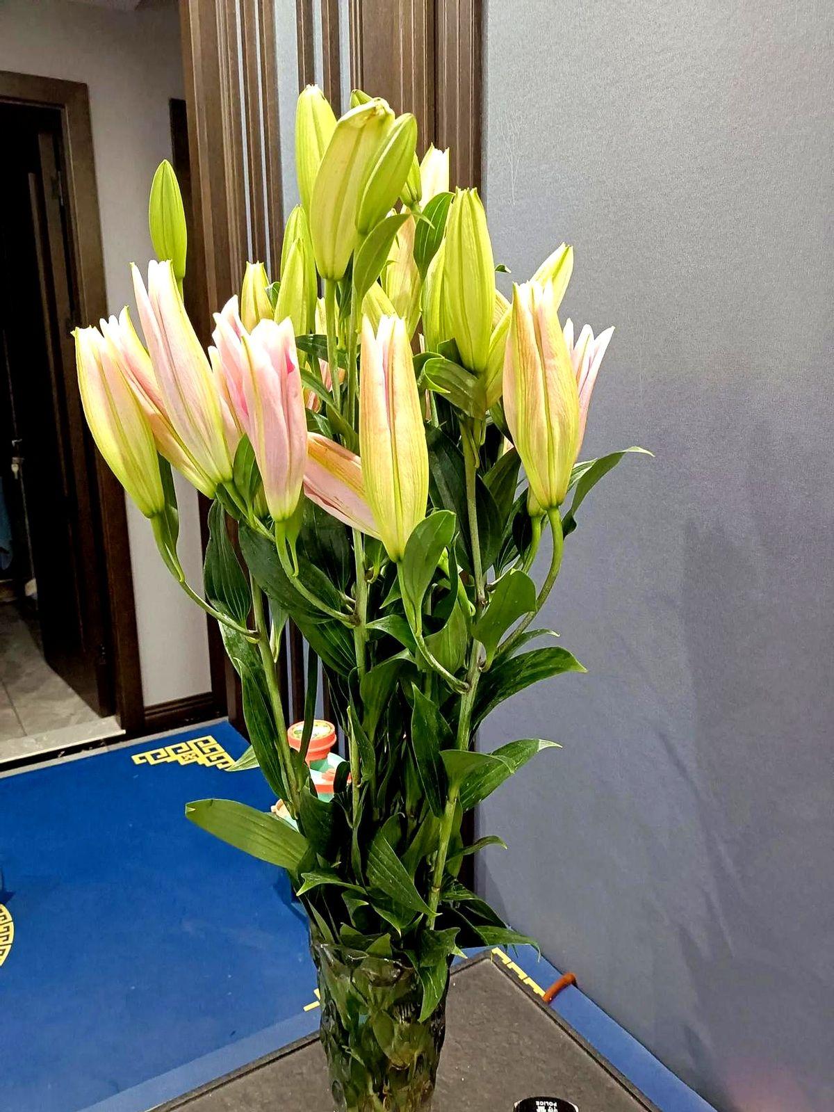 50多岁，丧偶，还有必要再婚吗?
我是一个丧偶的小老太，虽然还没有六十岁，但我的