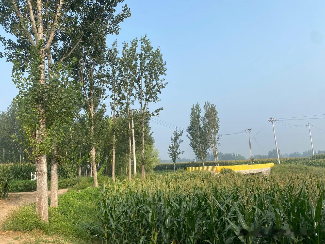 任何时候，健康都是人生的基石，巩固好基础，才能不断向上攀登。运动，就是保持健康最