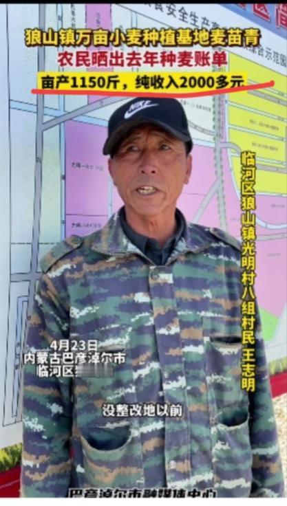 一亩地纯收入2000多元，真的假的？看的我这个农二代都想回去种田了，但好在我是一