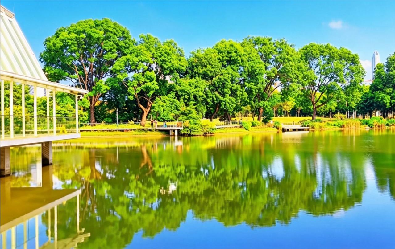 分享一下你随手拍下的照片