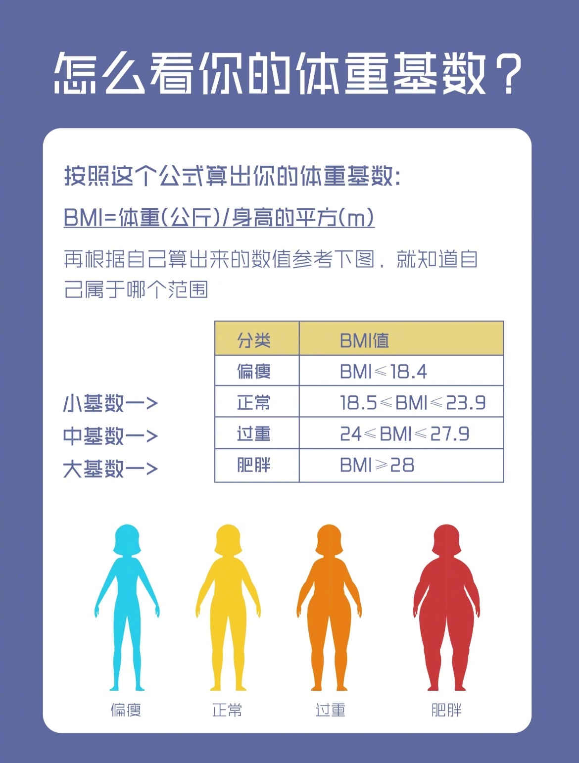 “不同体重基数的减脂方法”按照公式算出你是小基数、中基数还是大基数，再针对不同的