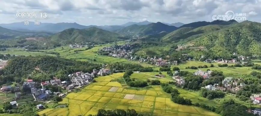 国家统计局：第四次全国农业普查目前进入全面实施阶段。与第三次全国农业普查相比，本