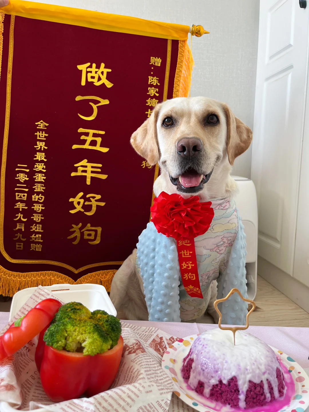 姨姨们～蛋蛋我✋岁啦～可以唱汪汪歌给我听吗