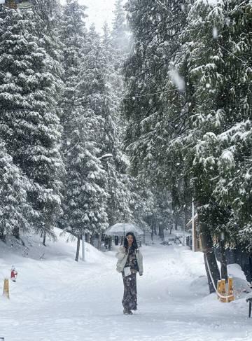 蔡文静雪中撑伞氛围感 看这雪中撑伞的蔡文静，卡其色穿搭温柔又大气，清冷破碎氛围感