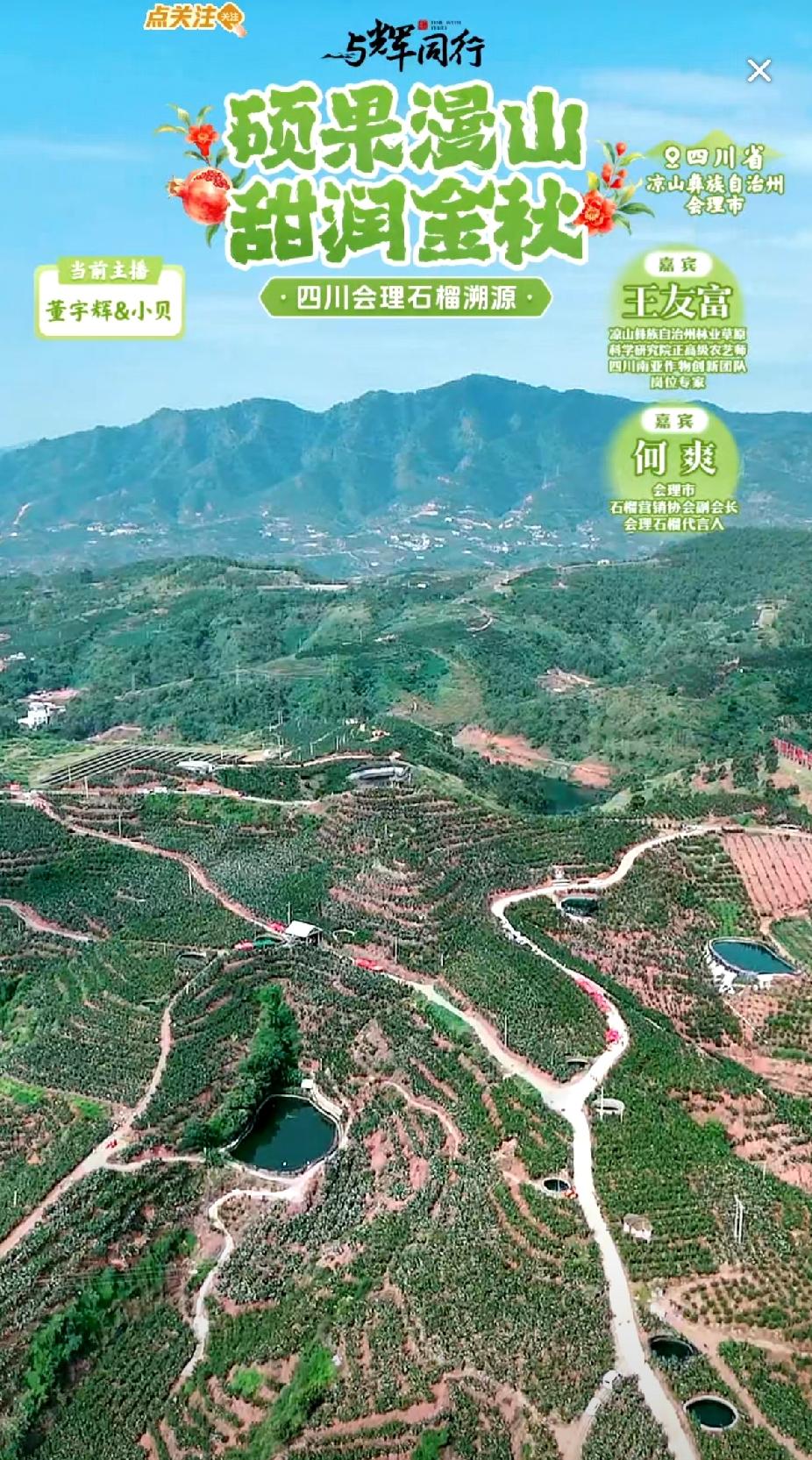 彪哥和小贝在四川凉山彝族自治州
会理县的石榴溯源开始啦！
