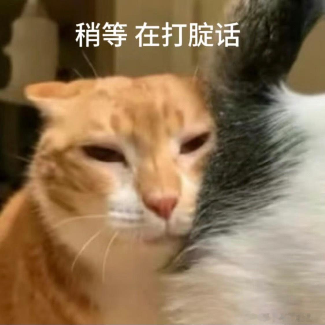 王力宏帮陈建州拿尿壶微博词条堪比港媒，这么私密的行为非要让我知道吗？[疑问][疑