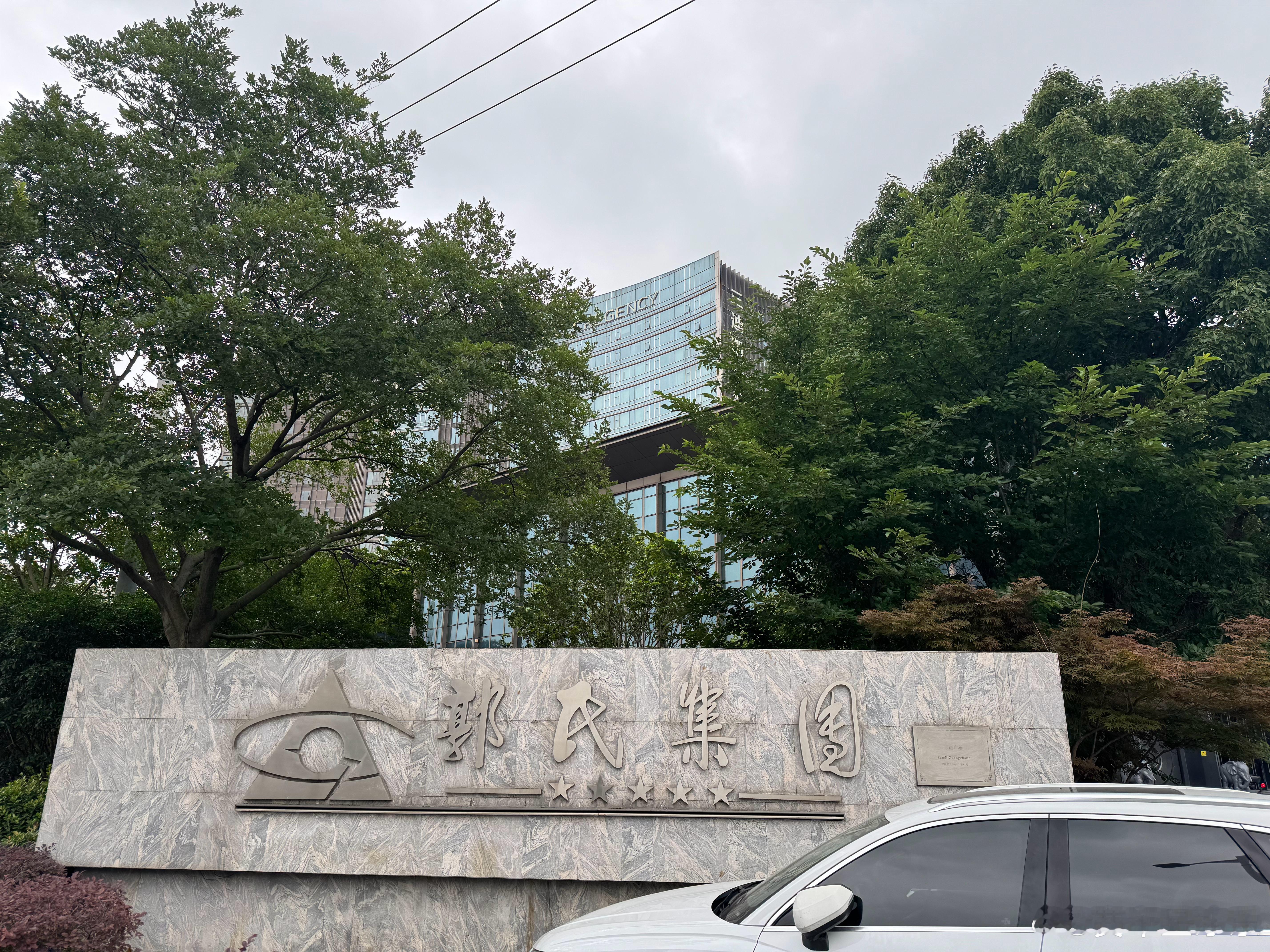 有没有了解郭氏集团的，这个名字也太霸气了，这得囊括多少人？这名字听起来就像霸总短