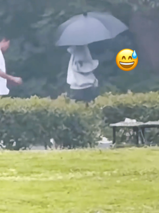 呃呃的迷惑行为：多少沾点那什么了(-_・)?这是在干嘛？得趁早啊……