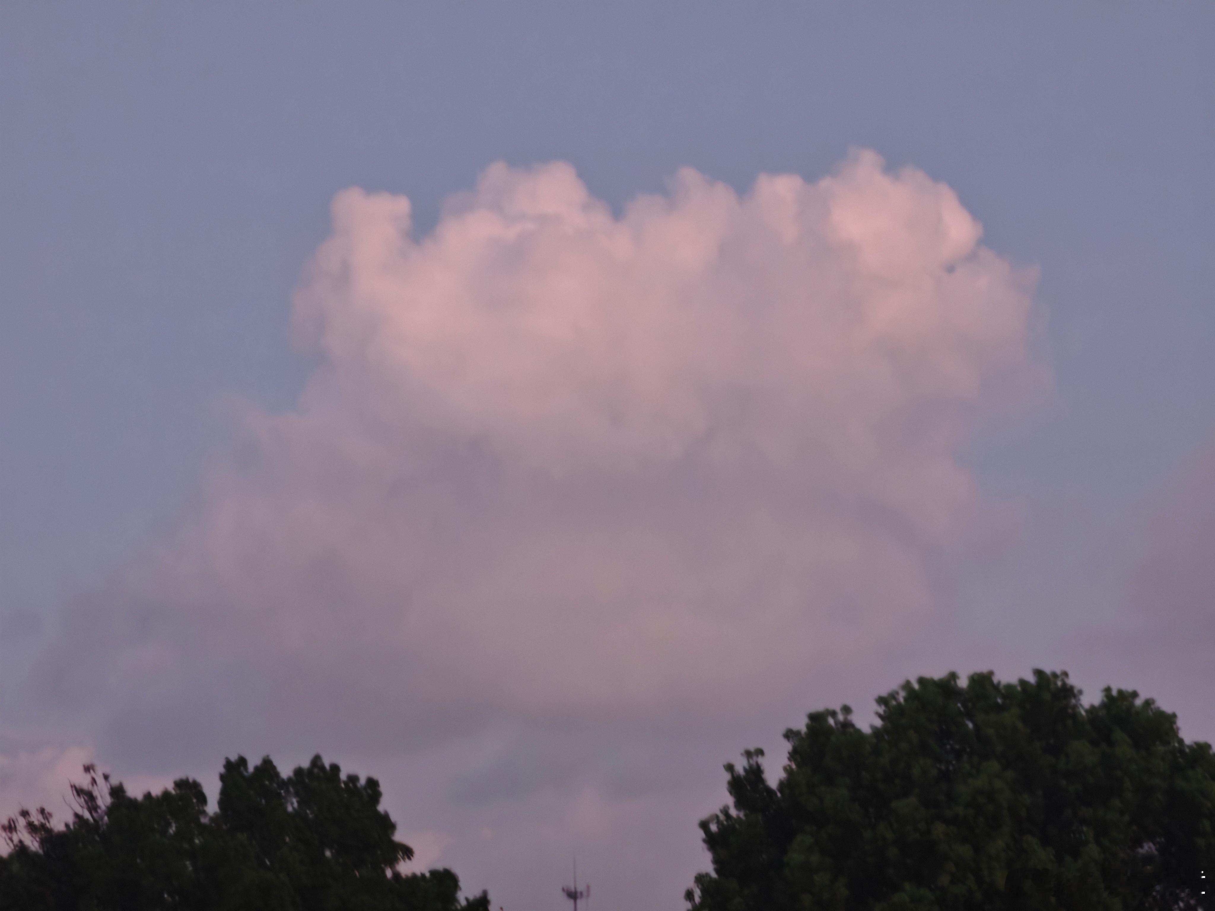 下班的☁️都更好看，害羞的云。 ​​​