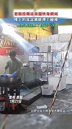 善良救了自己一命，近日贵州贵阳，男子正在摊位上烤鱼，看见摊位旁有只脏兮兮的流浪猫