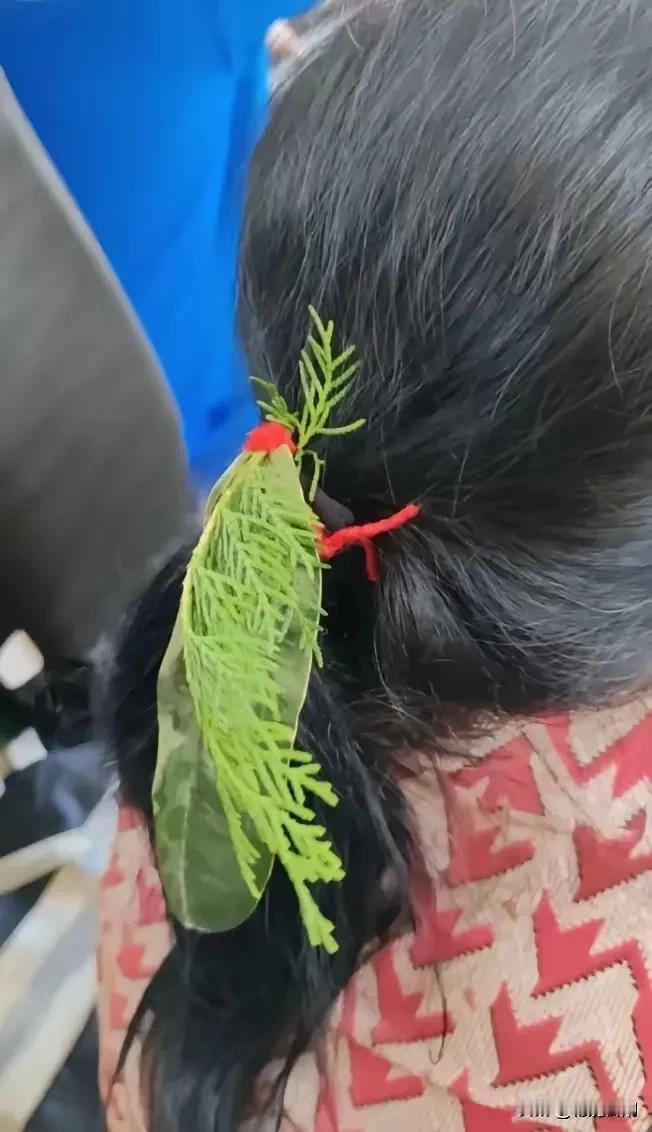 求解答案！不明白，女人的头发，为什么要捆一块树叶，和一枝扁柏在上面？捆这些东西在