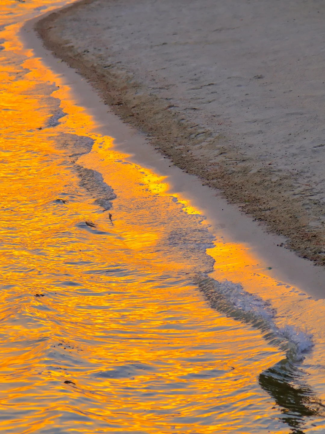 凌波门日出 没人告诉我还能看到橘子海啊🍊