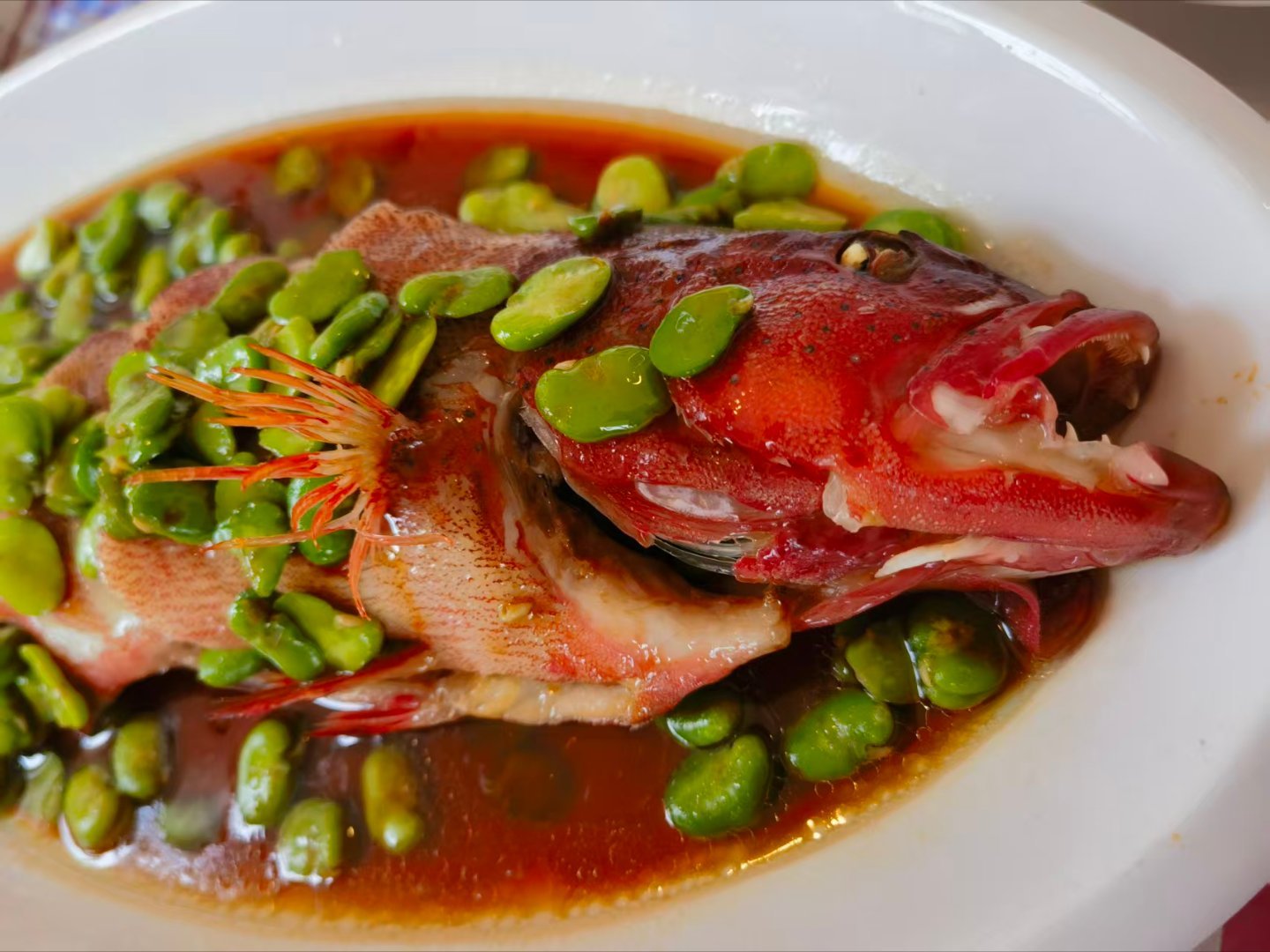 *碎碎念*去看老人。东星斑，红色的，确实喜庆...好好穿衣，咋这么歪...糟糕，