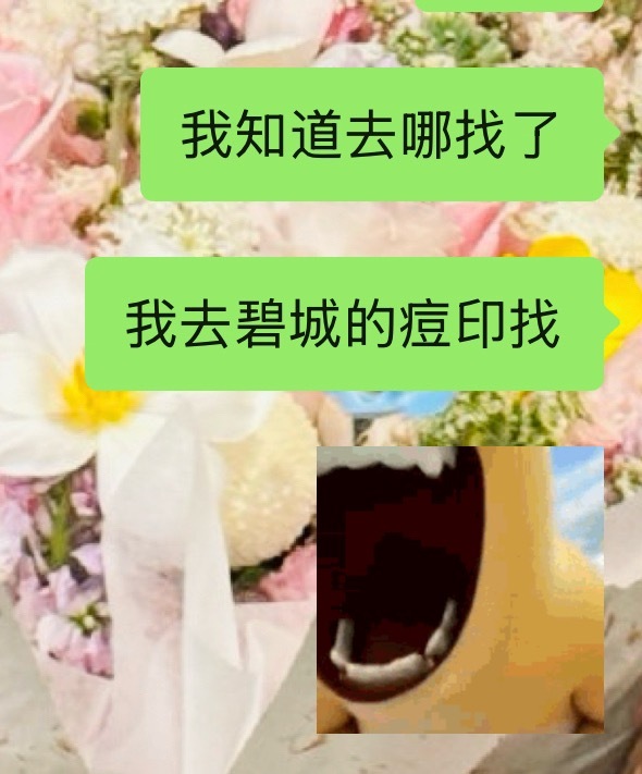 以后剪第一视角找不出bgm了就去翻翻碧城的🫘 