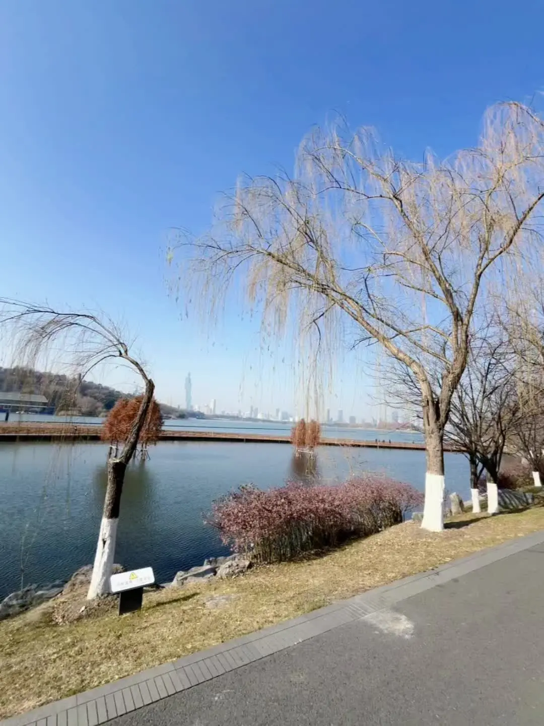 退休生活 花式自律行为大赏 城市风光 随拍记录生活