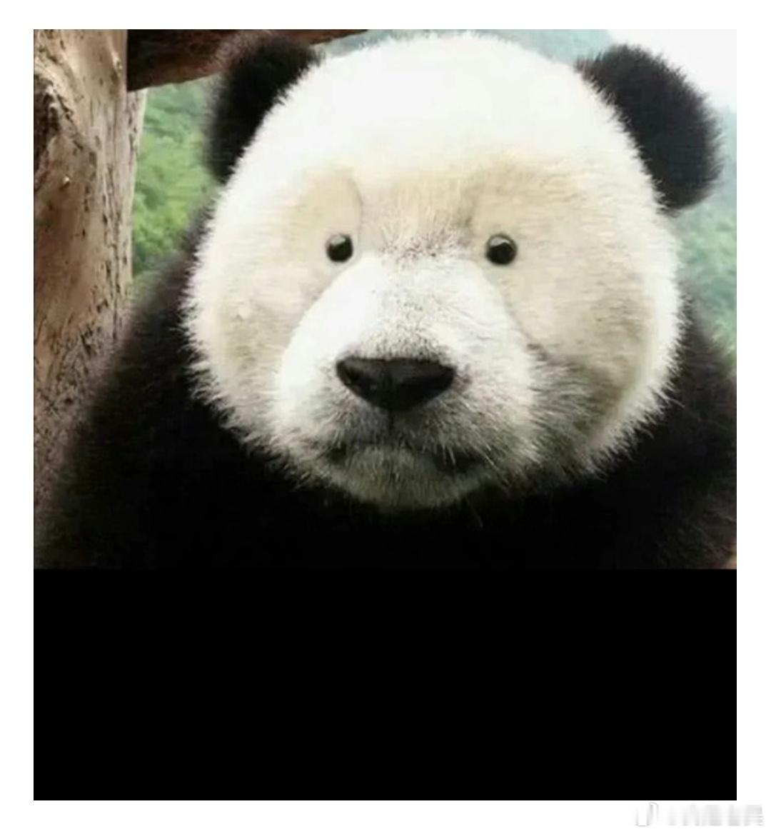 胡锡进立场被指摇摆 立场坚定胡锡进天才少女蒋方舟不靠父辈贾浅浅平易近人杨某媛欢迎