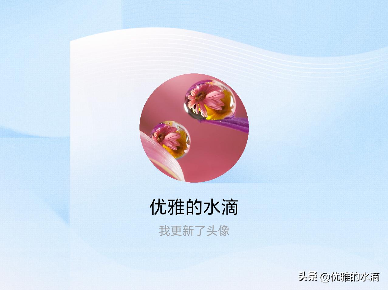 快来看看我新换的头像吧