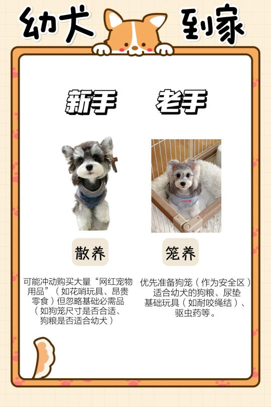 🐾幼犬到家大作战！新手速看👀