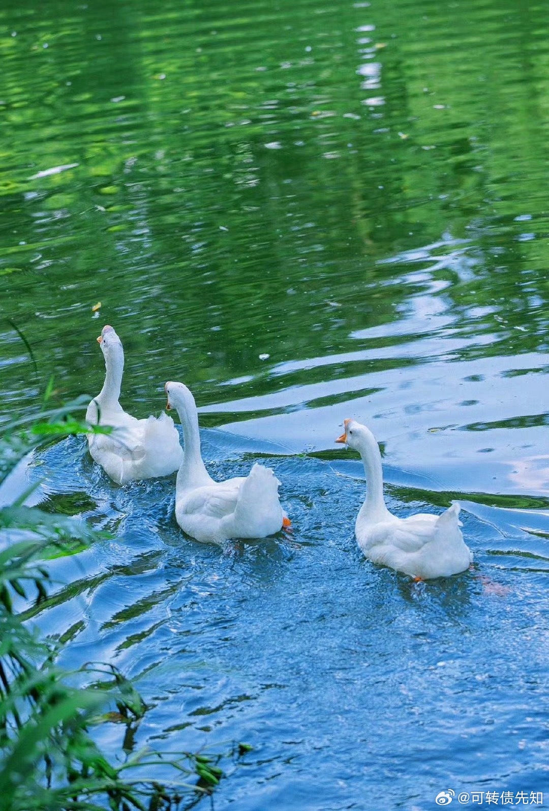 普通人学再多指标，看再多秘籍，依然在市场反复亏损、原地踏步，根本不是你不够努力，