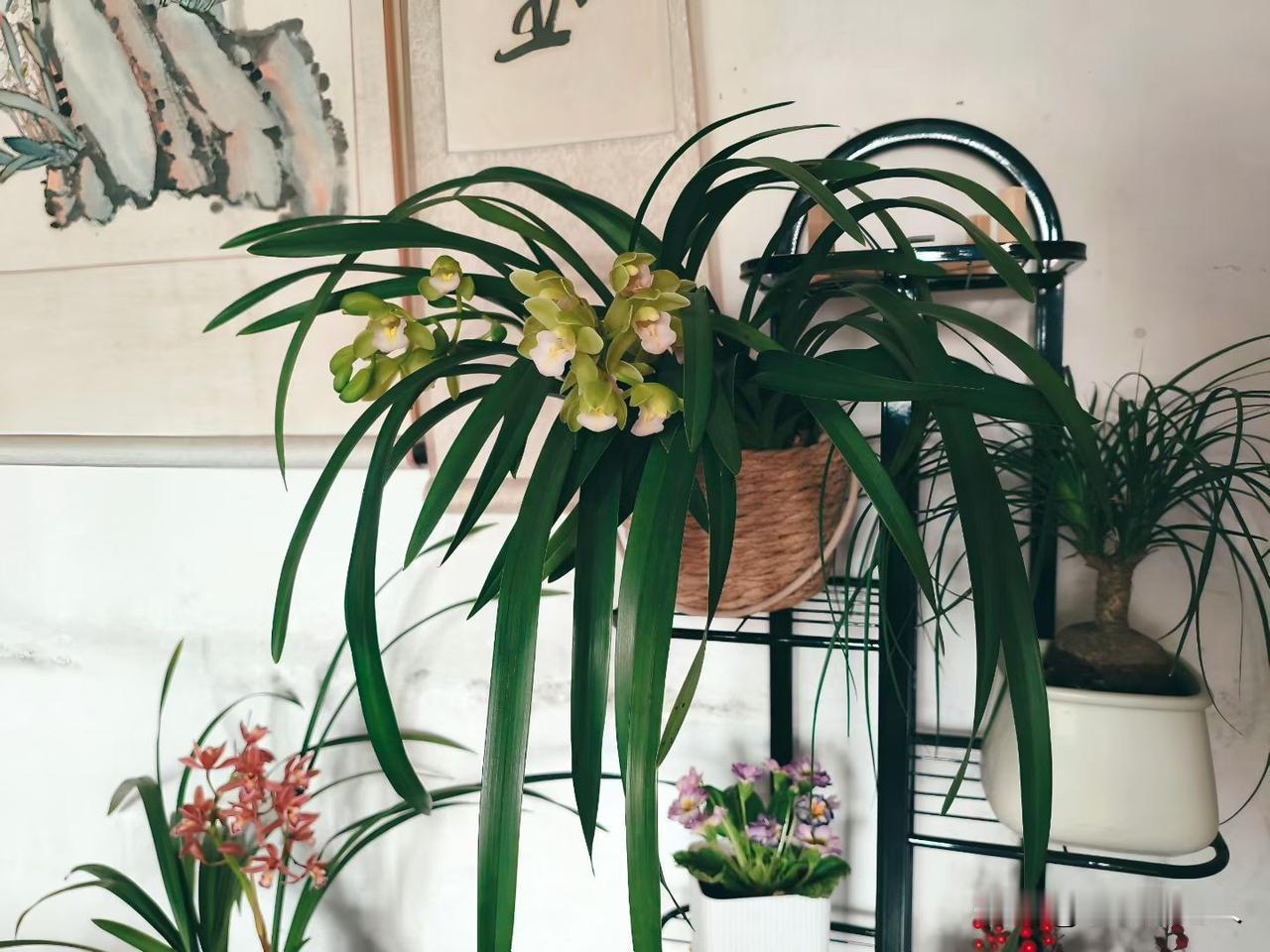 退休后你会选择去上老年大学吗？
这个问题仁者见仁，智者见智。
有很多老人退休以后