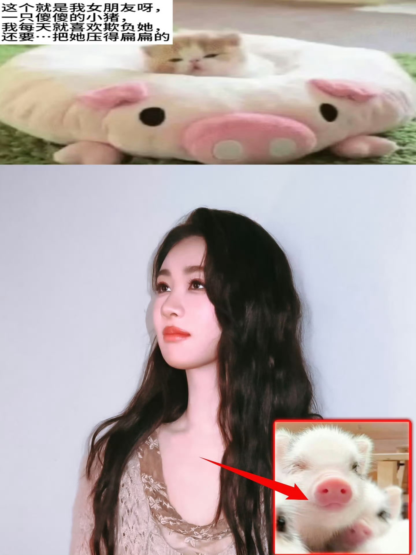 猪塑你崛起吧[哪吒使坏] ​​​