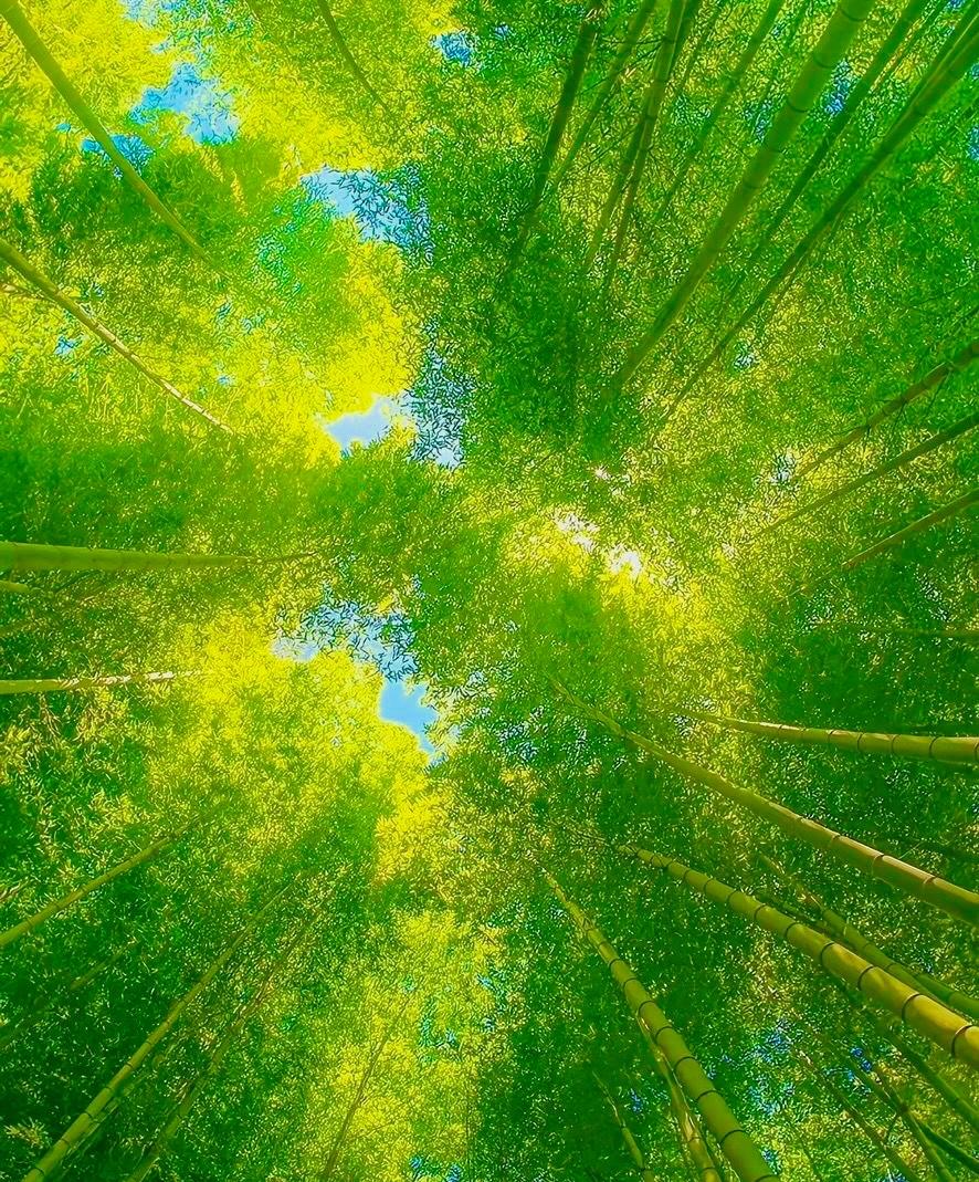 ：）
单身男人的生活
前天我看到一个B站的30多岁保持单身的男主播分享自己房子的