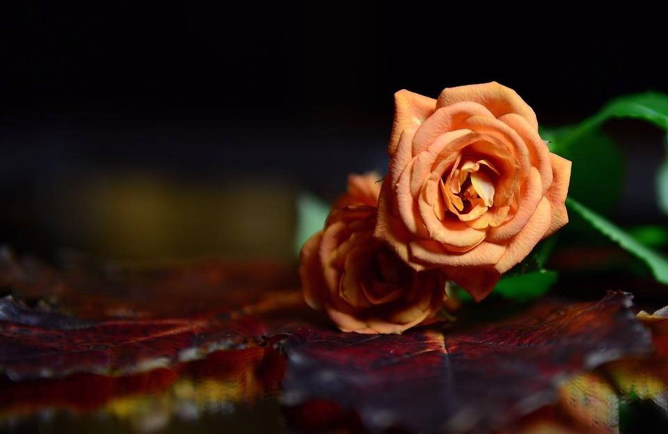 《雨中邂逅：那把伞撑起的温柔时光》
 
【头条独家】在城市钢筋森林里穿梭的我们，