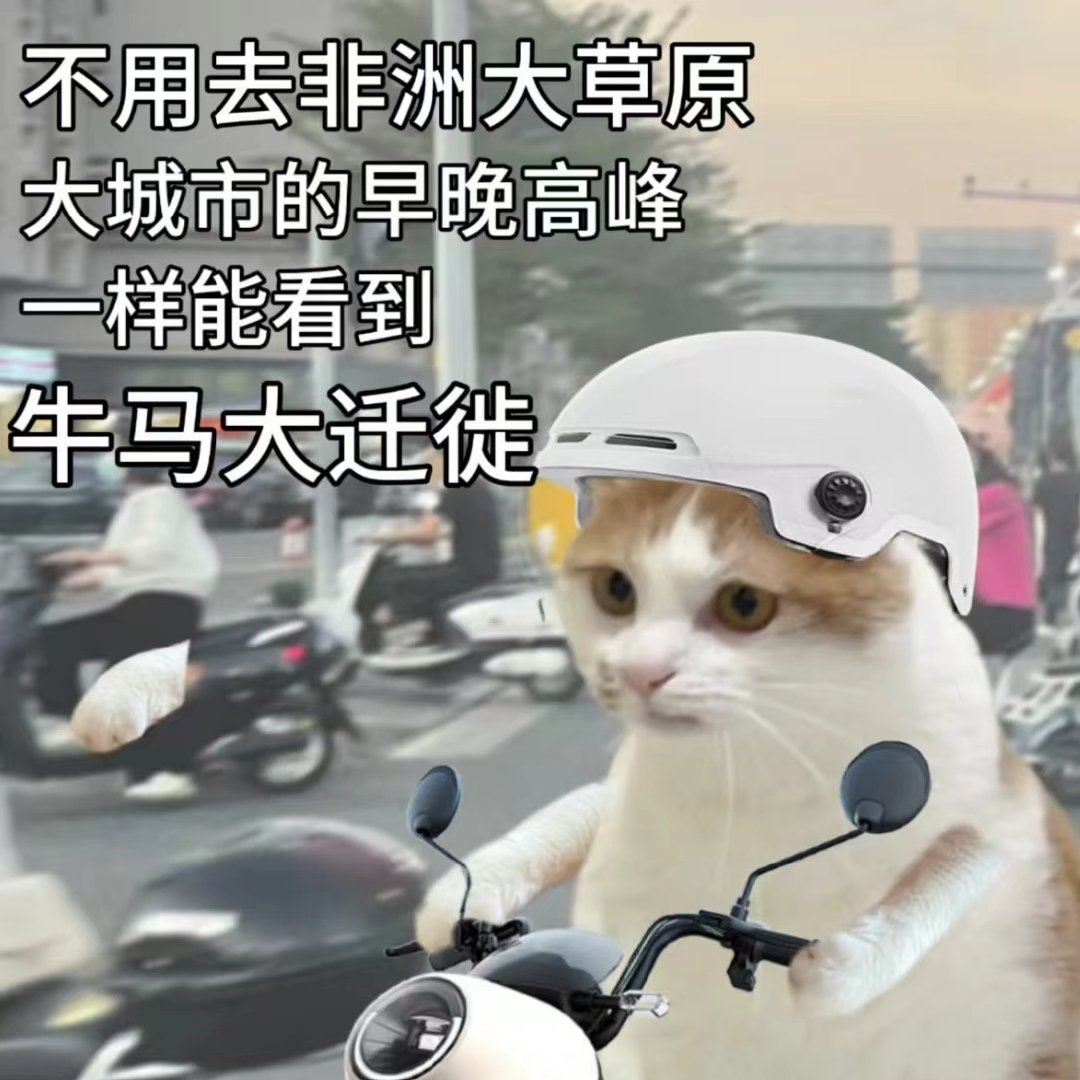 #库迪百万大咖免费测评# #做一个冷库打工人# 咖妃，今天上班又是你陪朕 ​​​