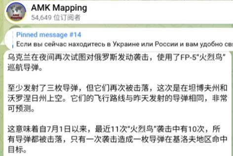 “火烈鸟”其实就是整合了一些现在技术的V-1巡航导弹，设计思想就是易于生产和降低