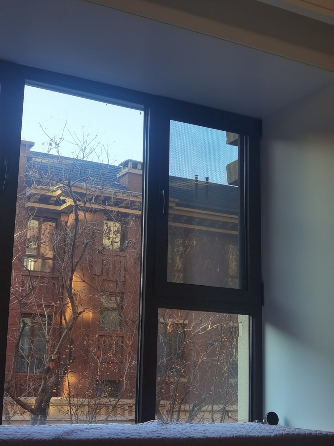 真的是入冬了，树都变得光秃秃的，天气冷的不愿意出门 